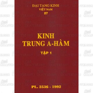 Đại Tạng Kinh: A-hàm Hán Tạng (Trọn Bộ 13 Cuốn - Bản Màu Nâu)