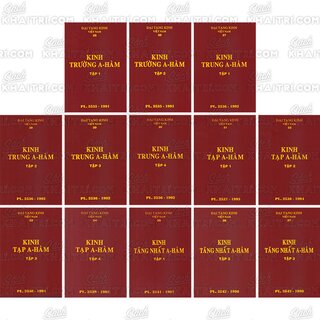 Đại Tạng Kinh: A-hàm Hán Tạng (Trọn Bộ 13 Cuốn - Bản Màu Nâu)