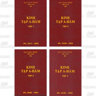 Đại Tạng Kinh: A-hàm Hán Tạng (Trọn Bộ 13 Cuốn - Bản Màu Nâu)