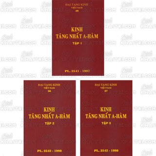 Đại Tạng Kinh: A-hàm Hán Tạng (Trọn Bộ 13 Cuốn - Bản Màu Nâu)