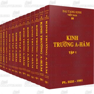 Đại Tạng Kinh: A-hàm Hán Tạng (Trọn Bộ 13 Cuốn - Bản Màu Nâu)