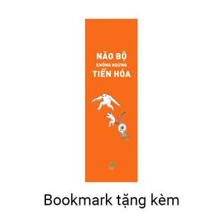 Não Bộ Không Ngừng Tiến Hóa - Trí Thông Minh Của Bạn Đến Từ Đâu?