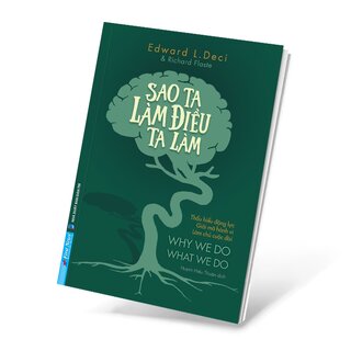 Sao Ta Làm Điều Ta Làm