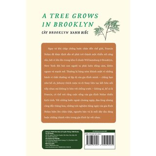 Cây Brooklyn Xanh Biếc