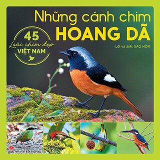 Top 10 loài chim hót hay nhất Việt Nam
