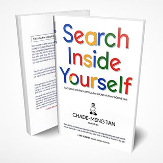 Search Inside Yourself - Tạo Ra Lợi Nhuận Vượt Qua Đại Dương Và Thay Đổi Thế Giới