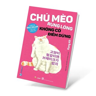 Chú Mèo Rụng Lông Không Có Điểm Dừng